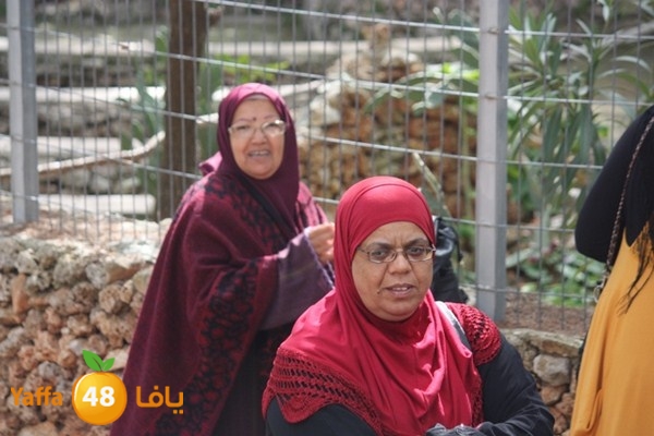 re7la7efa483 (40).JPG